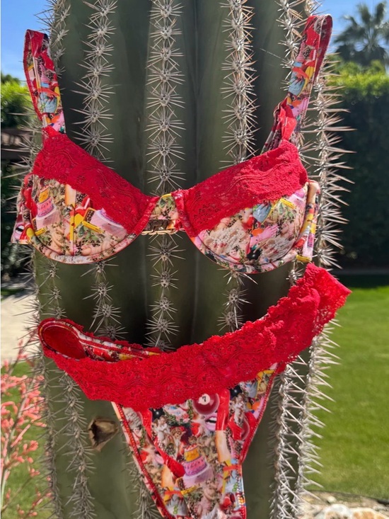 Strawberry Milk Mob Other - Strawberry Milk Mob Red Floral Lace Bikini Set